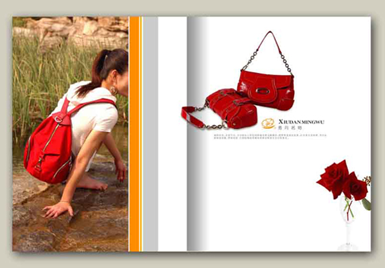 秀丹名物畫冊設(shè)計